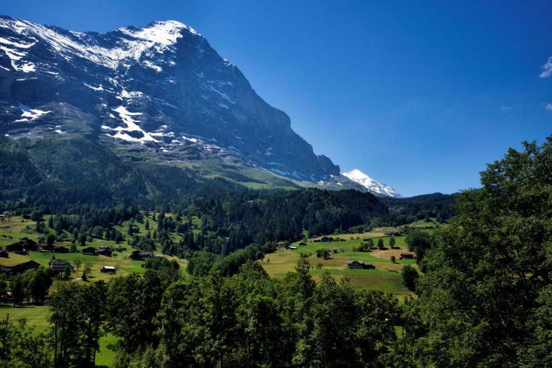 post-93078-0-91103700-1437373782_thumb.j