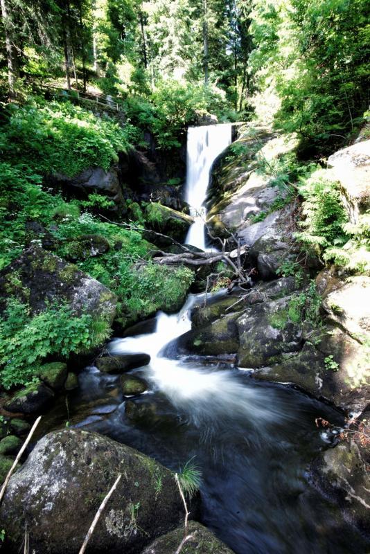 post-93078-0-99992900-1437741562_thumb.j