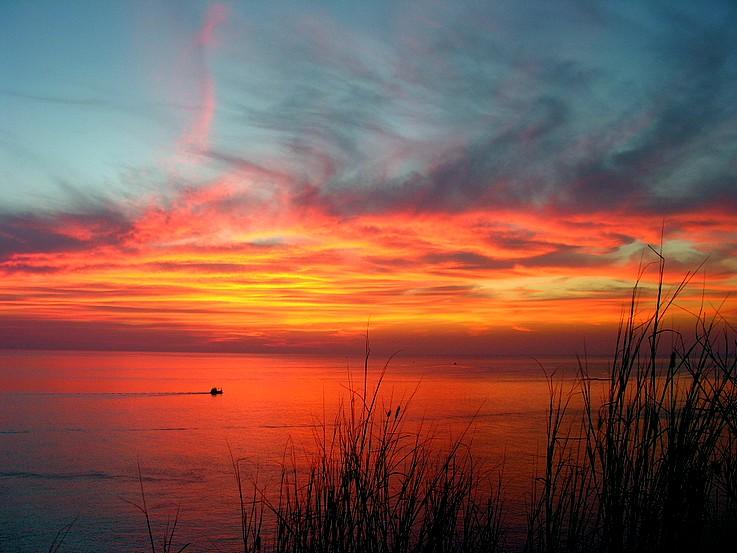 post-96355-0-45868100-1436942252_thumb.j