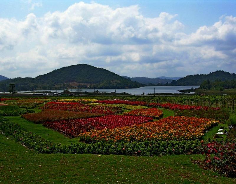 post-9958-0-06735900-1437029632_thumb.jp