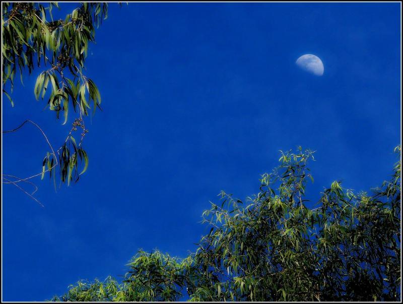 post-9958-0-15254600-1437893349_thumb.jp