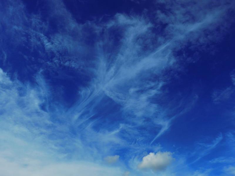 post-9958-0-66595000-1437563520_thumb.jp