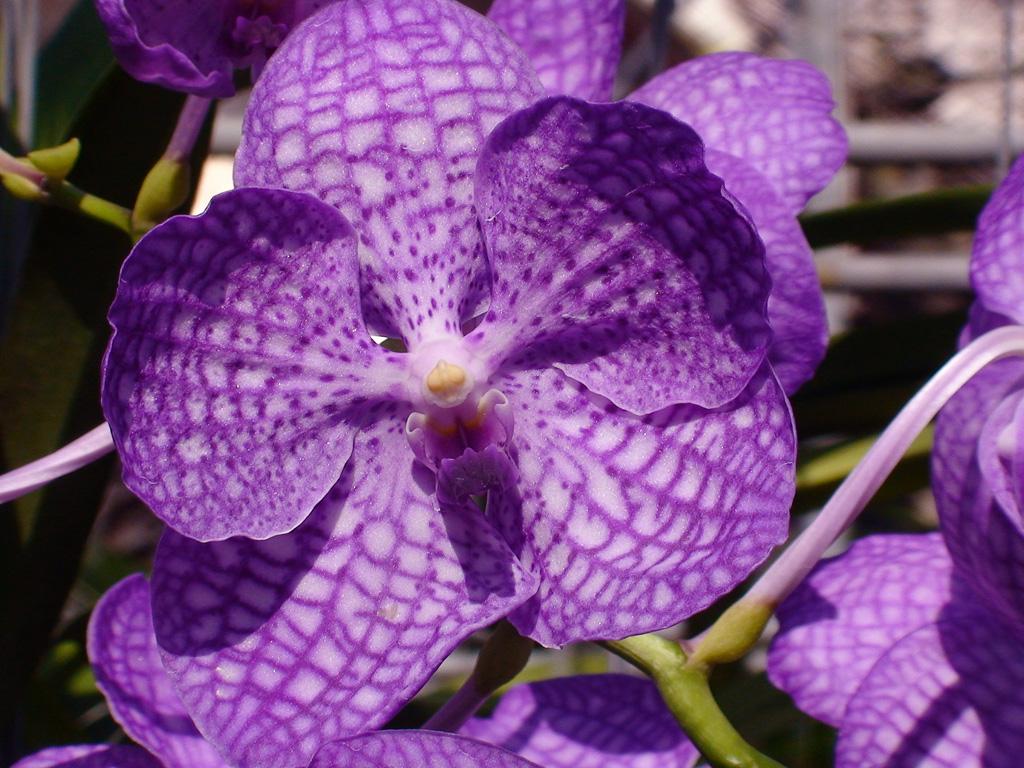 post-100320-0-47122400-1468831609_thumb.