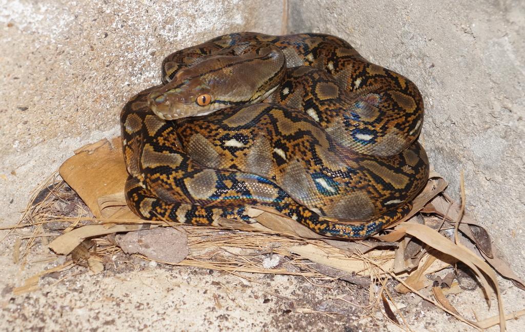 post-110899-0-13822500-1467860018_thumb.