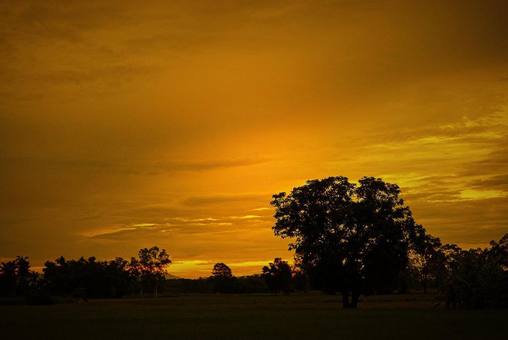 post-140056-0-06303500-1468989191_thumb.