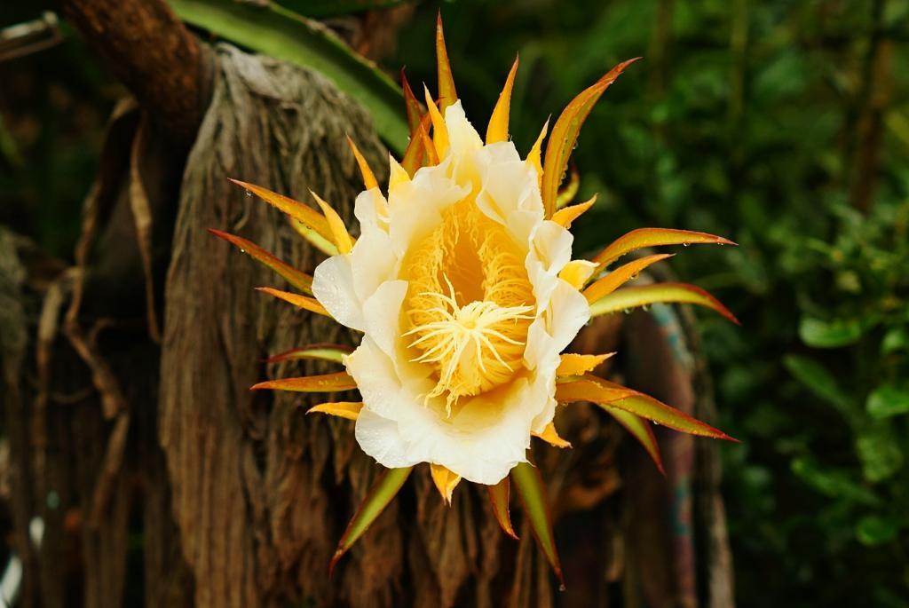 post-140056-0-18493300-1469081352_thumb.