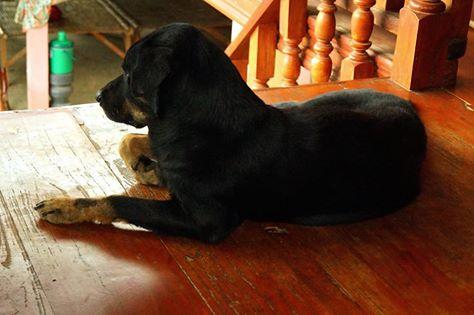 post-140056-0-25962000-1469173844_thumb.