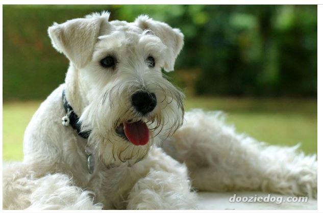 post-140056-0-36429800-1468729637_thumb.