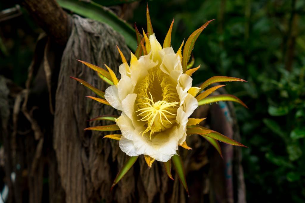 post-140056-0-88215300-1469079012_thumb.