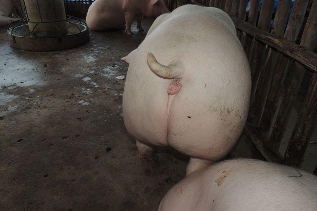 post-147638-0-12996900-1467355593_thumb.