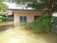 post-158336-0-11500800-1467797546_thumb.