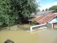 post-158336-0-87100200-1467797520_thumb.