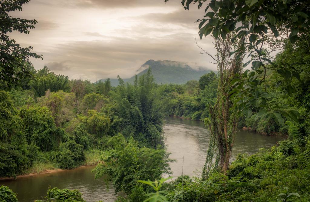 post-164976-0-78939400-1468060274_thumb.