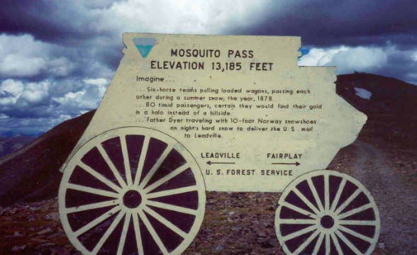 post-174911-0-02408500-1469057797_thumb.