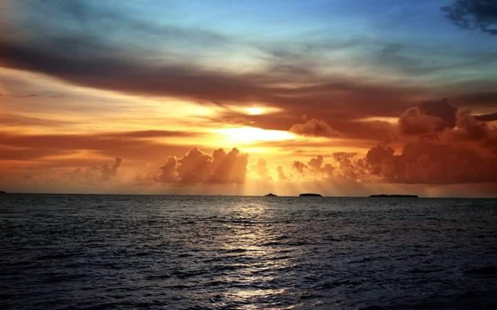 post-210212-0-15384000-1468474449_thumb.