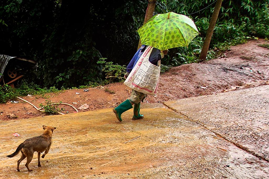 post-228573-0-05814400-1469329636_thumb.