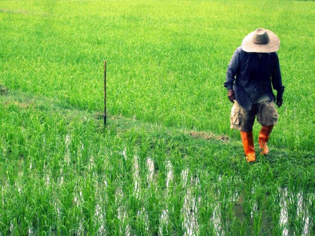 post-231810-0-51594300-1467986198_thumb.