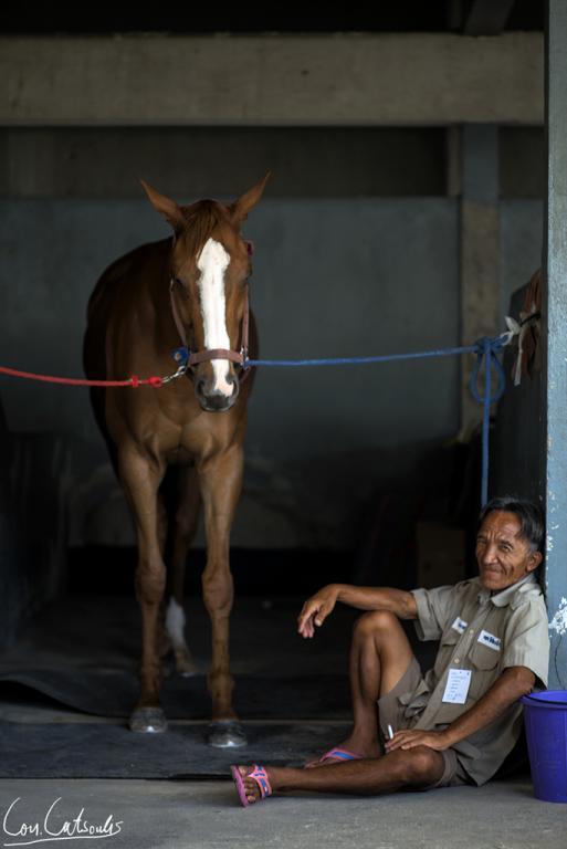 post-242715-0-13453800-1469665233_thumb.