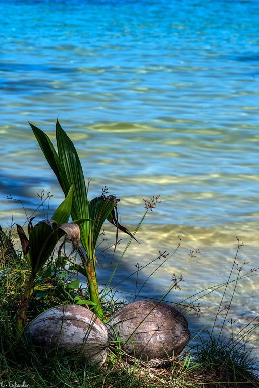 post-242715-0-22021600-1467423606_thumb.