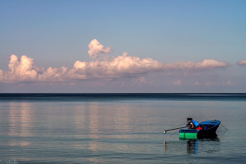 post-242715-0-34777800-1467333779_thumb.