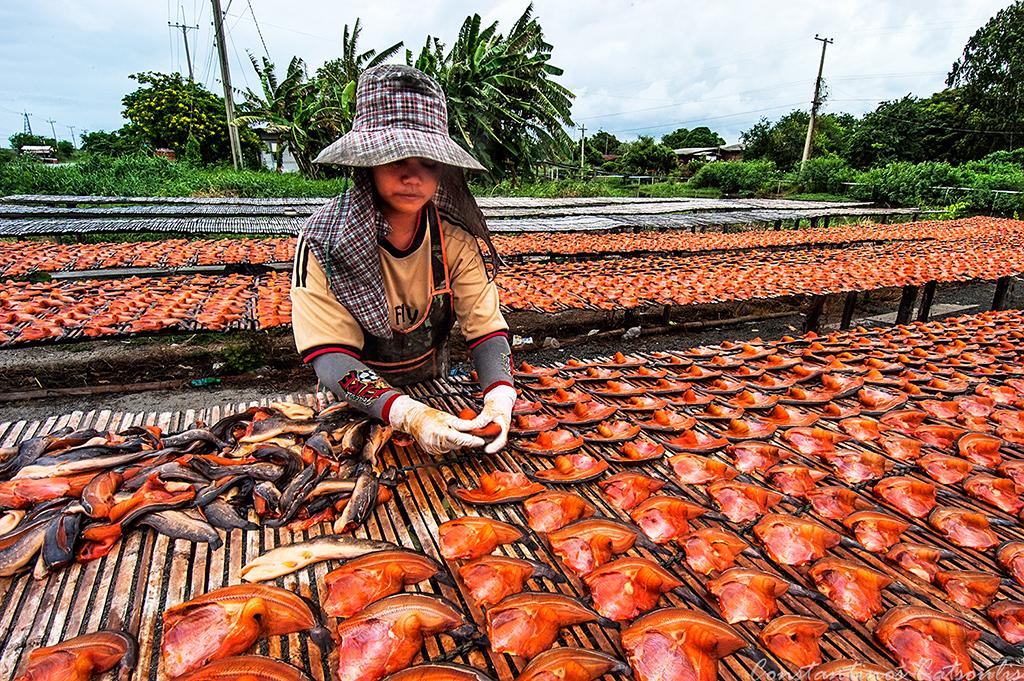 post-242715-0-52947300-1468369758_thumb.