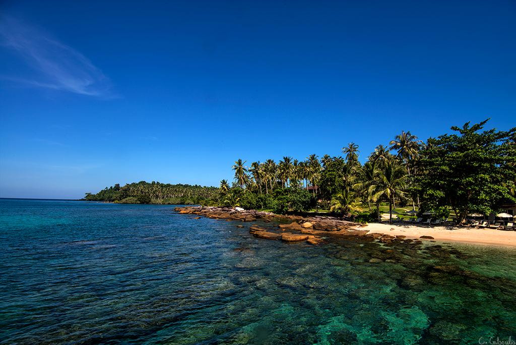 post-242715-0-53548500-1467589867_thumb.