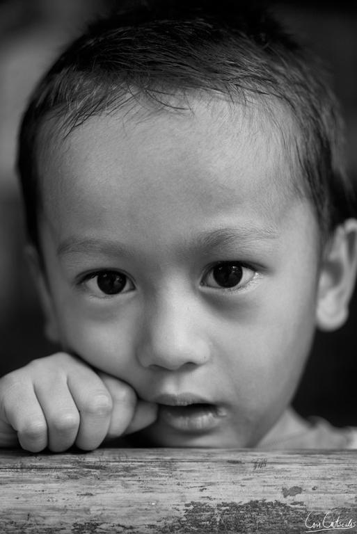 post-242715-0-59504800-1468720475_thumb.