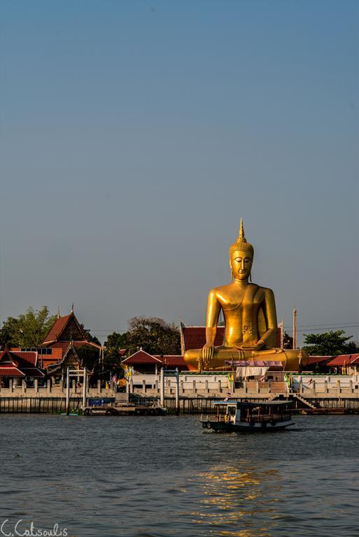 post-242715-0-63783100-1468301364_thumb.