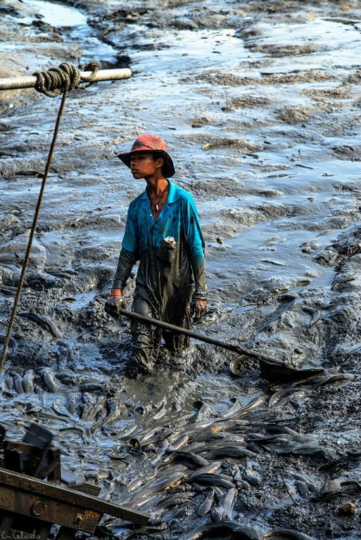 post-242715-0-77530300-1469665092_thumb.