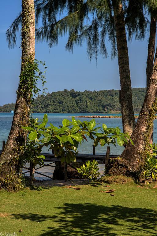 post-242715-0-77957300-1467333907_thumb.