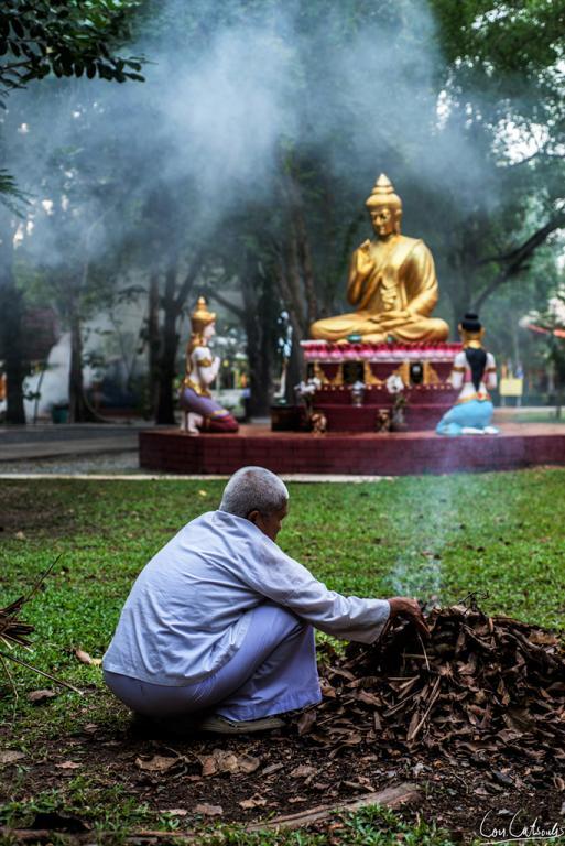 post-242715-0-79893200-1468456028_thumb.