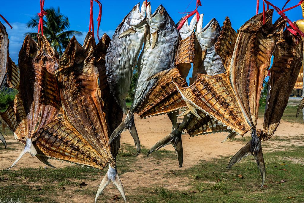 post-242715-0-85397800-1467676083_thumb.