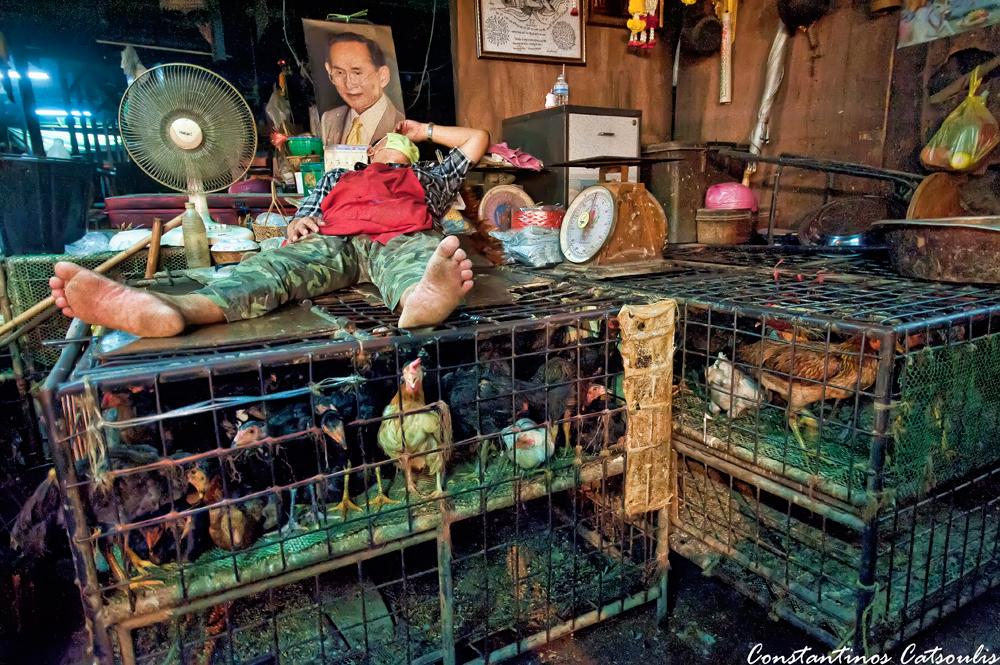 post-242715-0-90111200-1468550962_thumb.