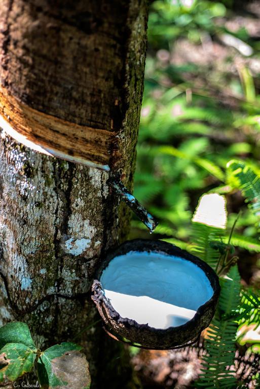 post-242715-0-96311500-1467675974_thumb.