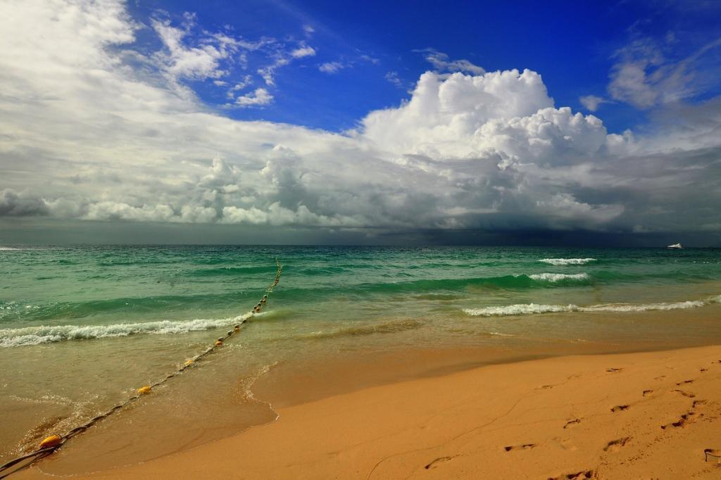 post-255172-0-48013700-1469175493_thumb.