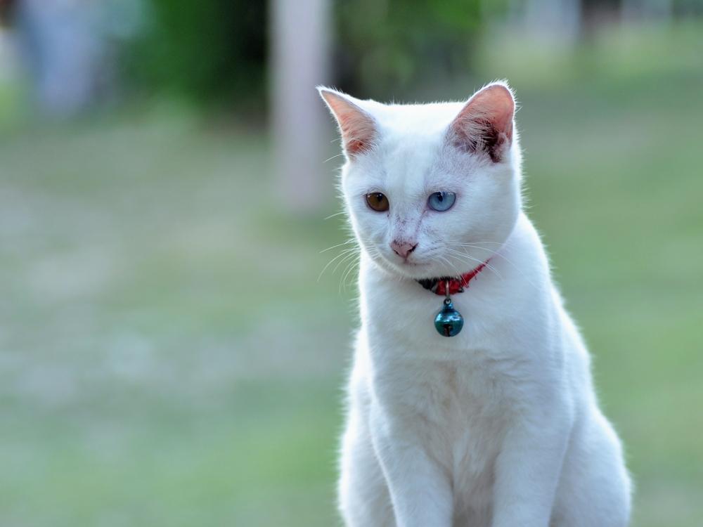 post-255172-0-72066400-1469179847_thumb.