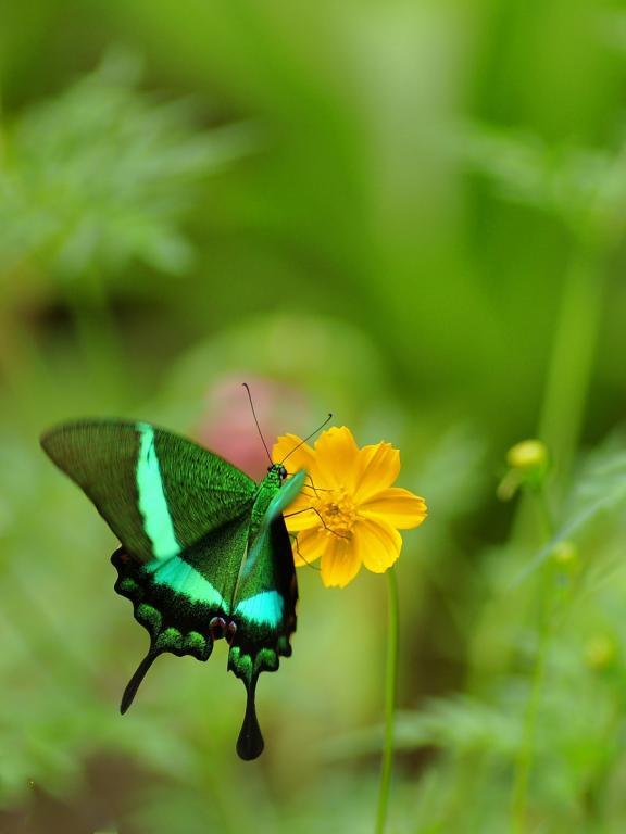 post-255172-0-82812600-1468835504_thumb.