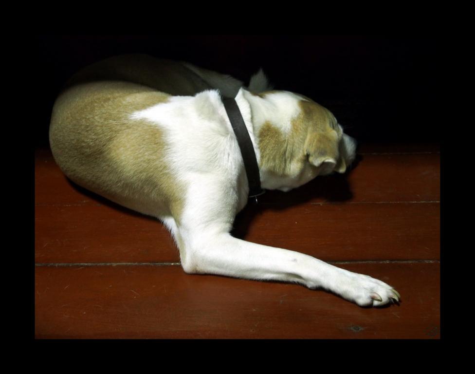 post-41729-0-10323900-1467538229_thumb.j