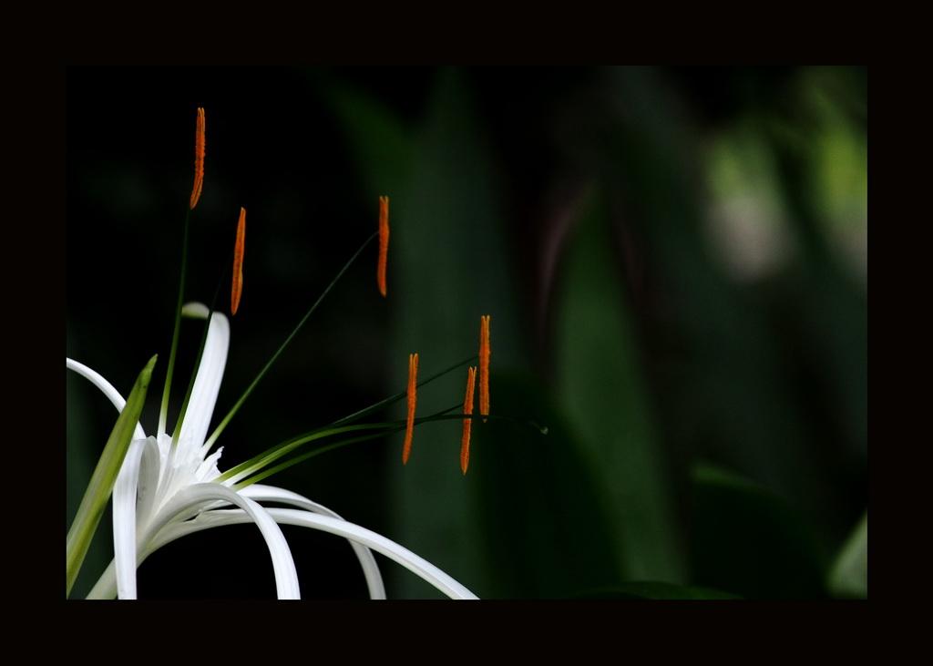 post-41729-0-40632400-1468856430_thumb.j