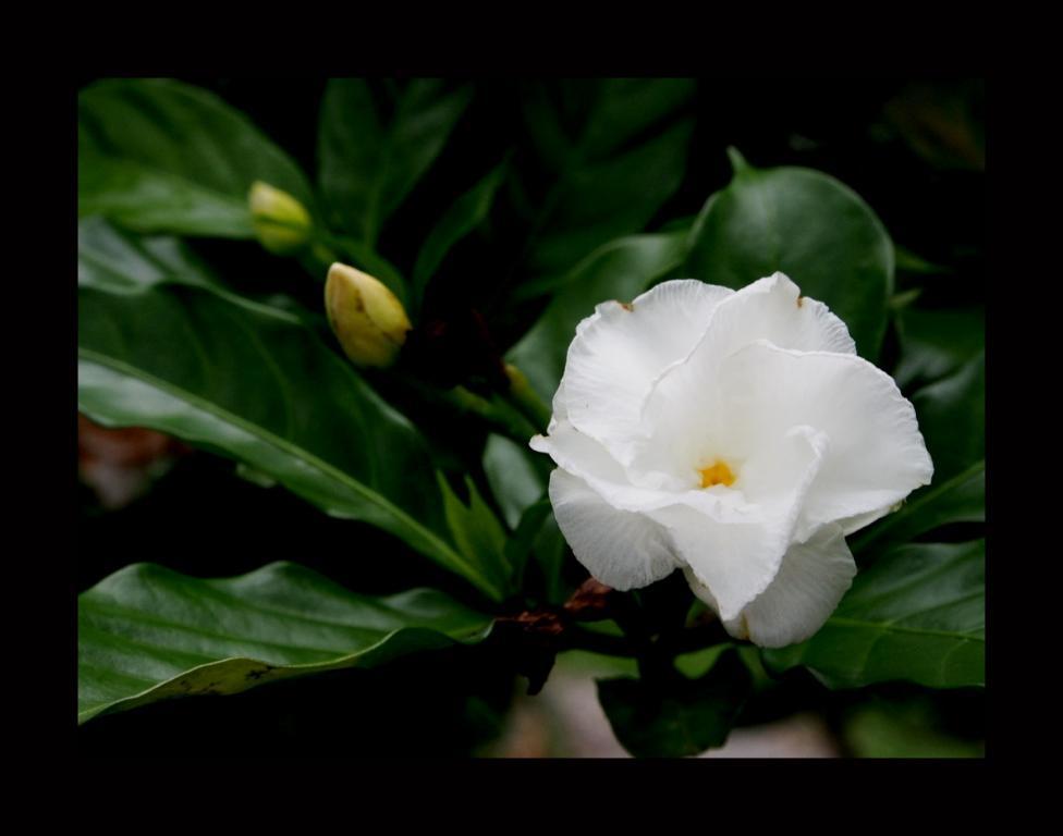 post-41729-0-88799200-1467557356_thumb.j