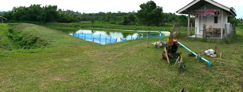 post-42398-0-54911400-1467873759_thumb.j