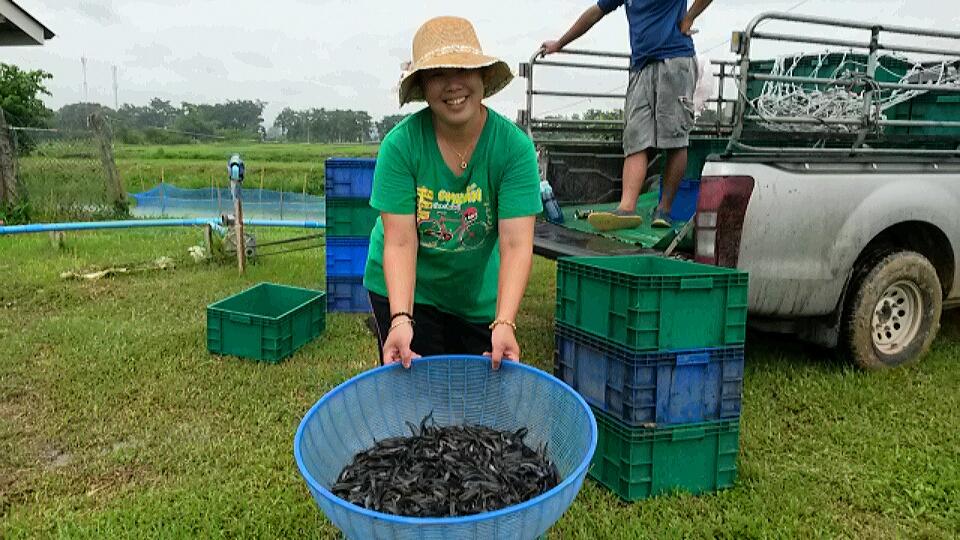 post-42398-0-57078800-1467873278_thumb.j