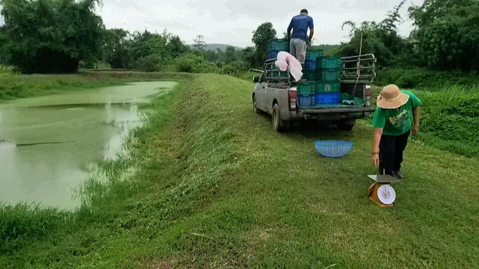 post-42398-0-63511100-1467873797_thumb.j