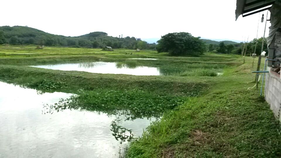 post-42398-0-78752800-1467873722_thumb.j