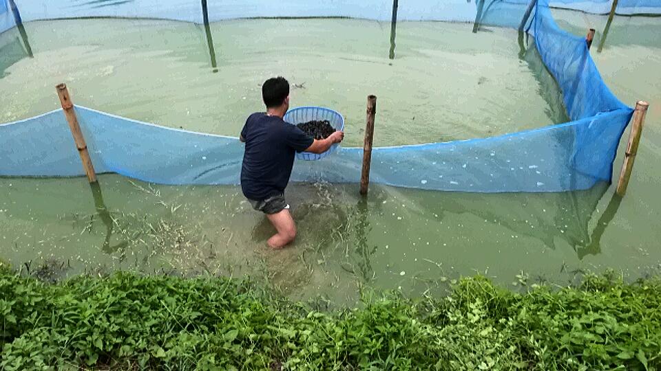 post-42398-0-80440300-1467873787_thumb.j