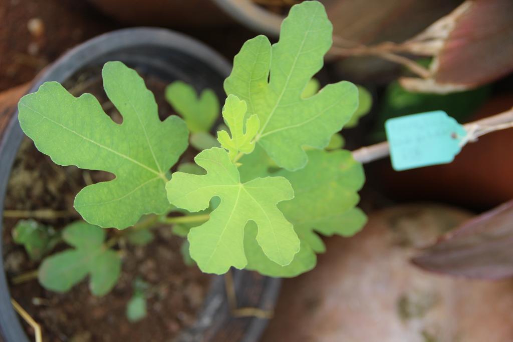 post-45719-0-27790900-1468642425_thumb.j