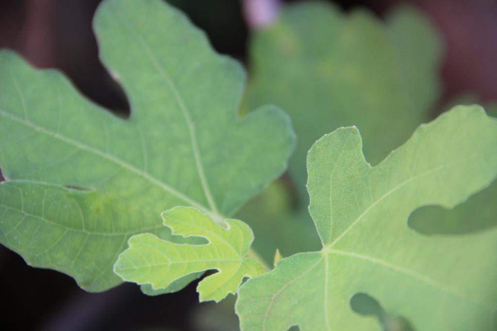 post-45719-0-70038700-1468642503_thumb.j