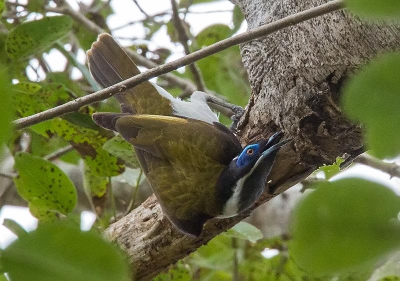 post-4761-0-19006500-1469437110_thumb.jp