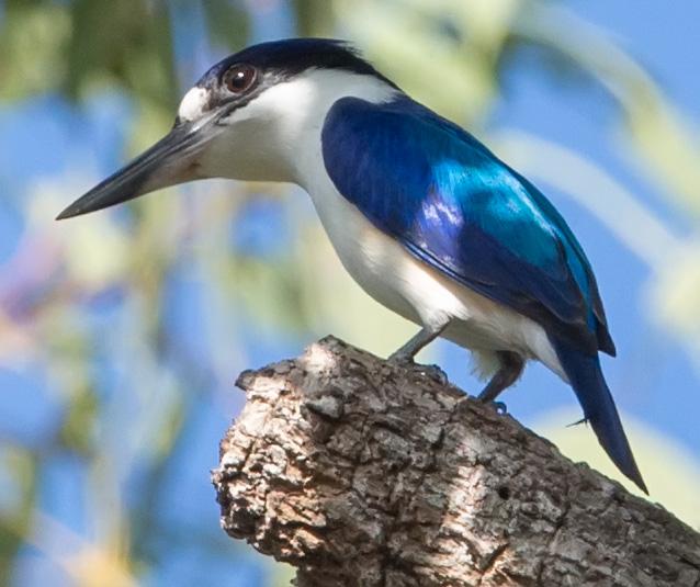 post-4761-0-33453700-1469437037_thumb.jp