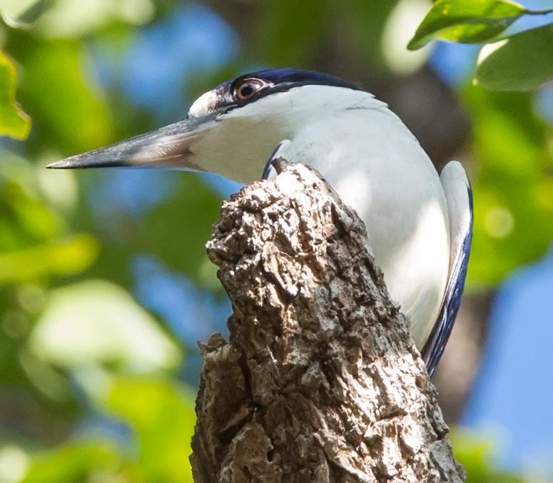 post-4761-0-38604600-1469437041_thumb.jp